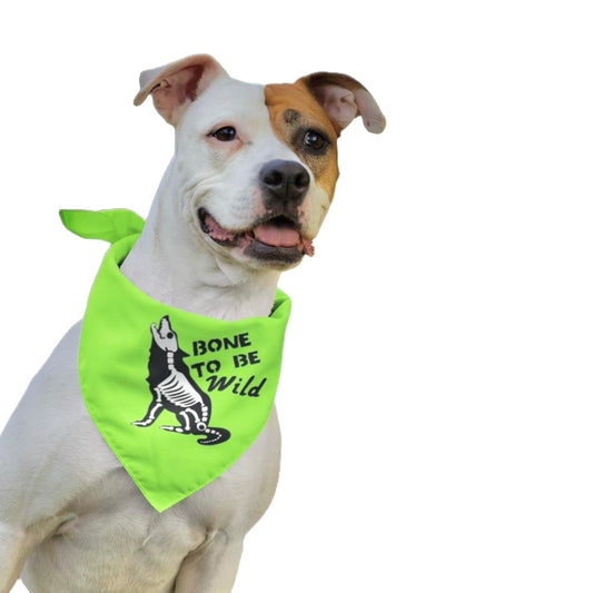 ‘Bone to Be Wild’ Halloween Dog Bandana