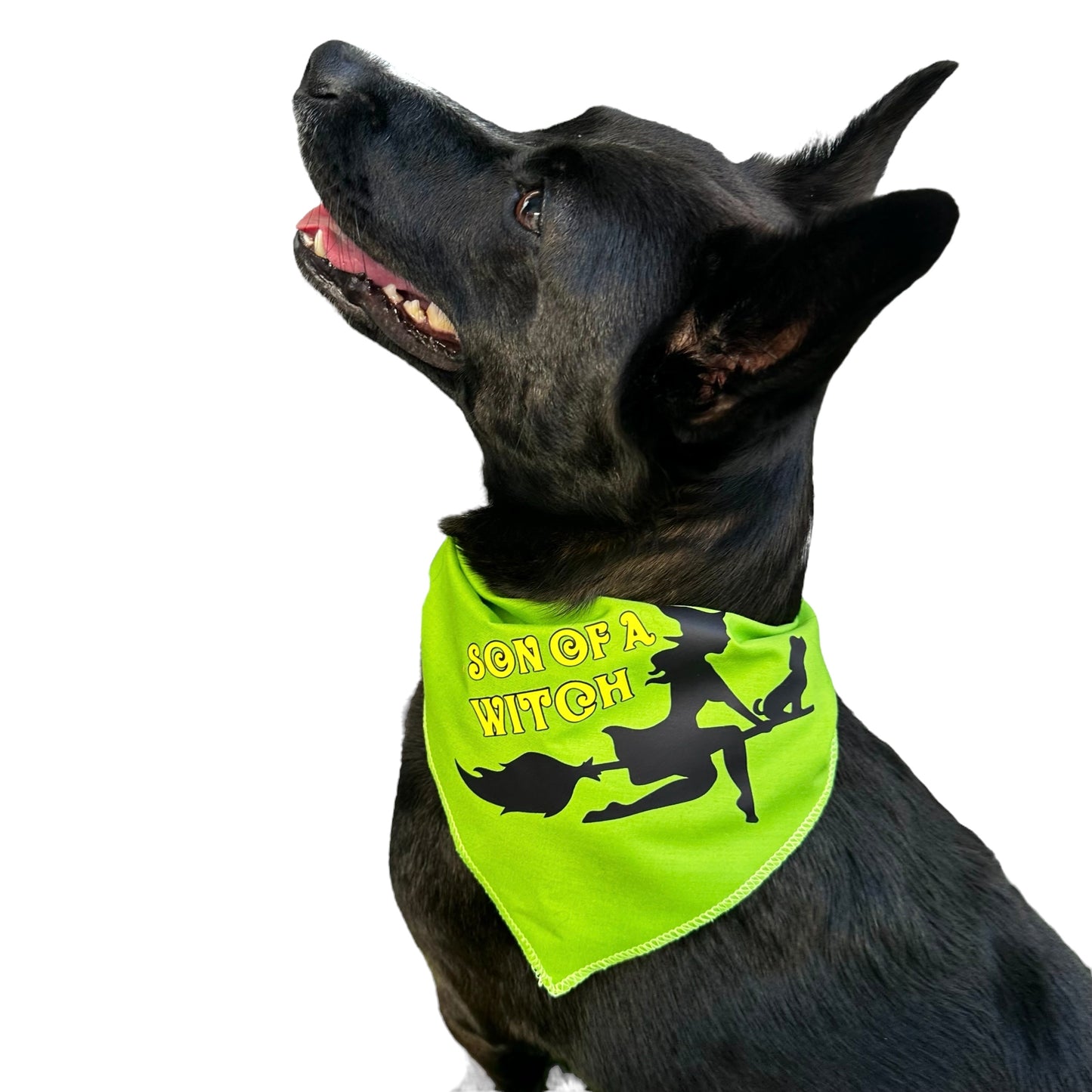 ‘Son of a Witch’ Halloween Bandana